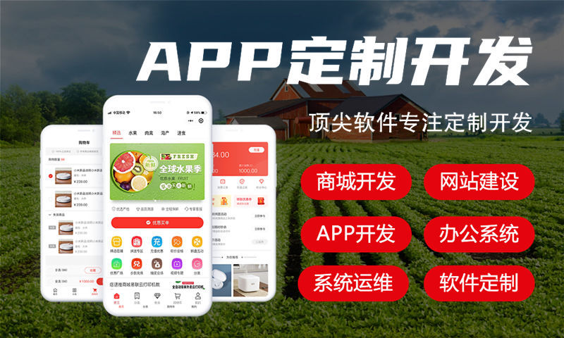 常州三三复制商城小程序软件系统开发解决方案：助力企业高效运营与数字化转型