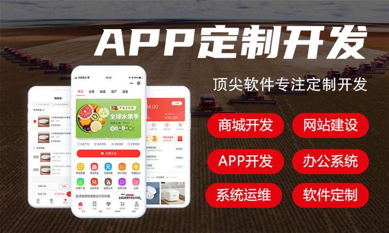 福州排队免单商城模式源码开发软件：解决企业数字化转型痛点的高效方案