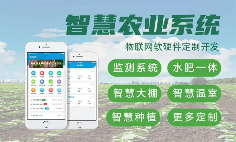 合肥物联网开发如何破解企业硬件研发难题？嵌入式音视频开发解决方案深度解析