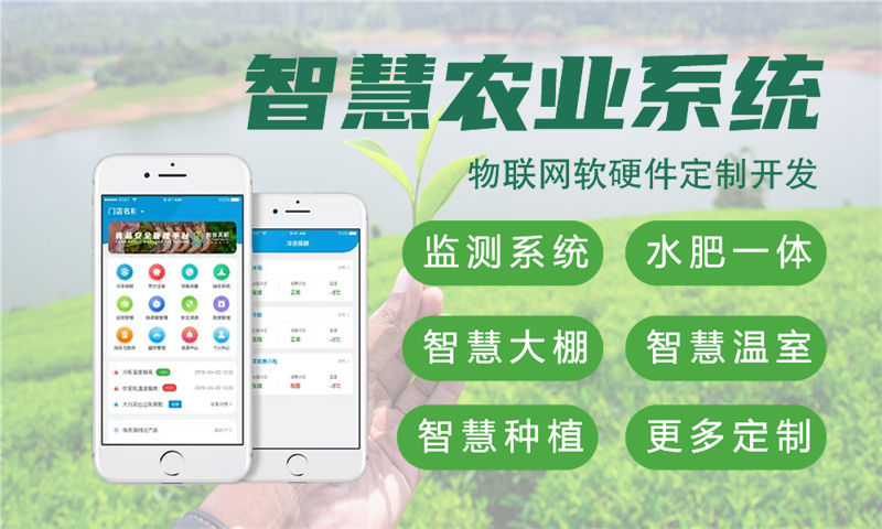 合肥物联网开发：嵌入式技术专家助力企业破解智能硬件研发难题