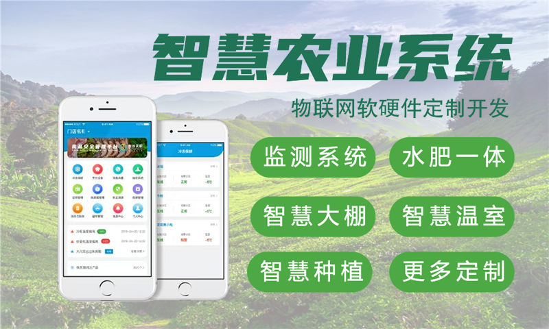 深圳物联网开发如何实现高效智能硬件产品落地？单片机开发解决方案深度解析