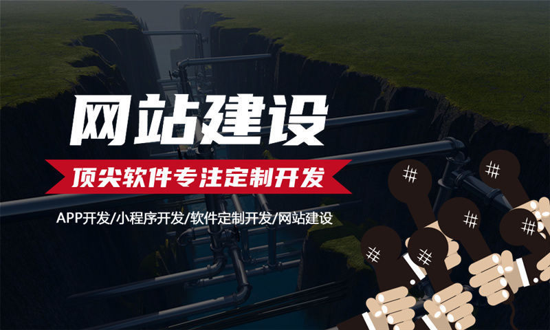 济南复购见单三三系统商城开发软件：定制开发解决方案助力企业数字化转型