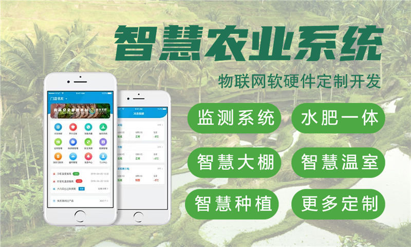 长沙物联网开发：嵌入式音视频解决方案助力企业高效完成智能硬件研发