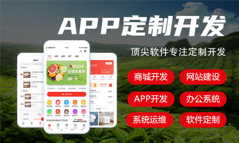 长沙会员积分锁客系统软件开发：助力企业数字化转型的高效解决方案