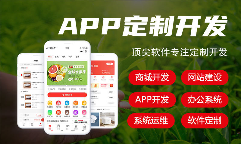 深圳十二星三三复制公排商城开发：破解企业运营难题的数字化解决方案