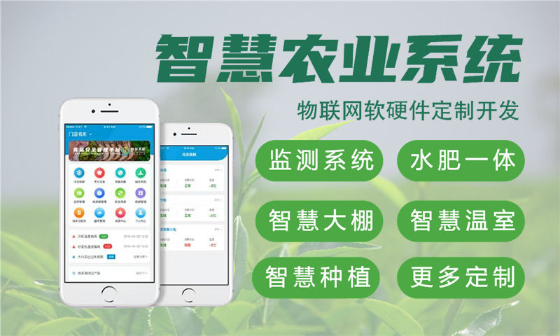 青岛物联网开发新选择：Raspberry Pi智能硬件解决方案助力企业高效转型