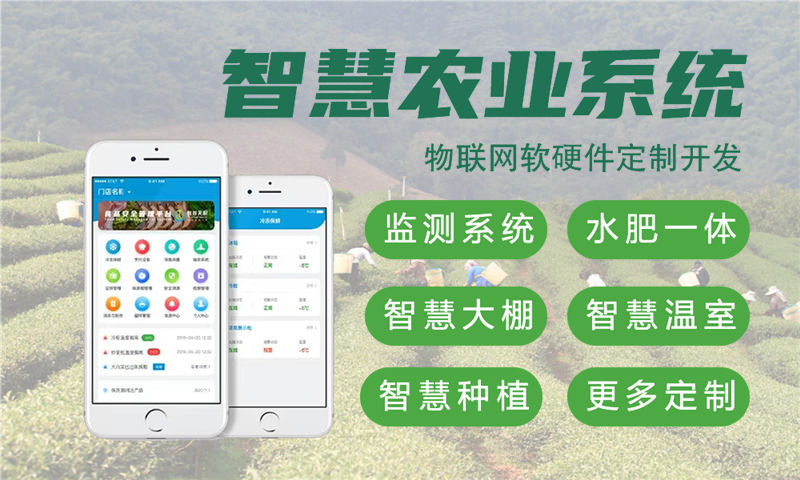 上海嵌入式性能优化：物联网智能硬件开发的高效解决方案