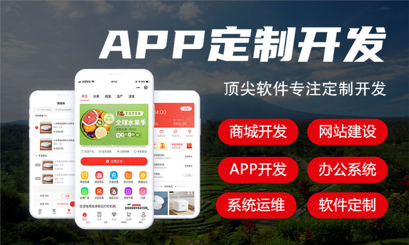 佛山三三复制系统开发（源码定制）软件：破解企业数字化转型难题的创新解决方案