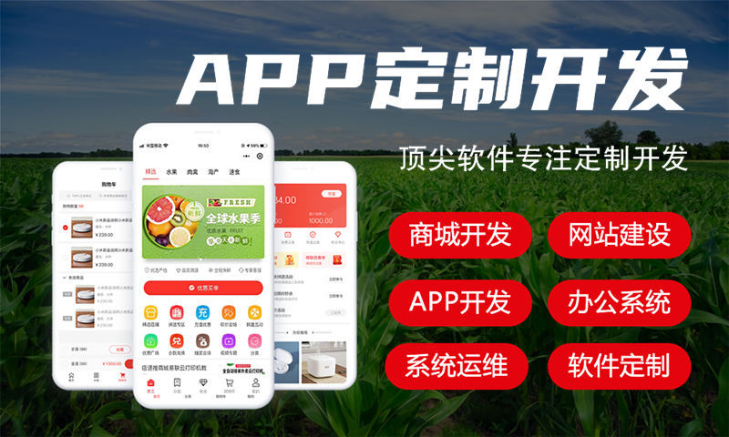 广州长青新电商系统小程序开发软件：赋能企业高效数字化转型