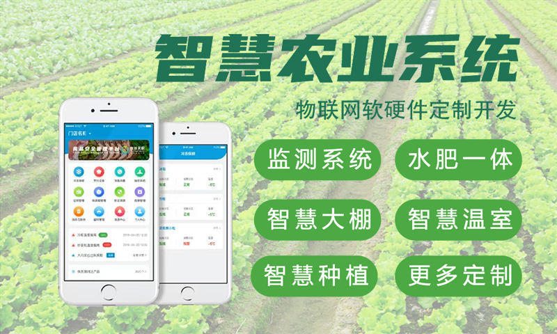 佛山企业如何高效开发物联网单片机智能硬件？嵌入式软件工程师成关键