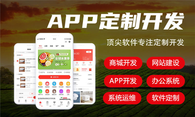 南京十二星三三复制系统软件模式开发：高效赋能企业数字化转型