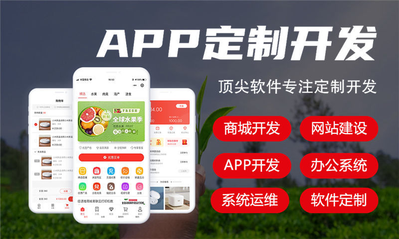 长沙元气甄选商城开发模式软件：助力企业高效实现数字化转型