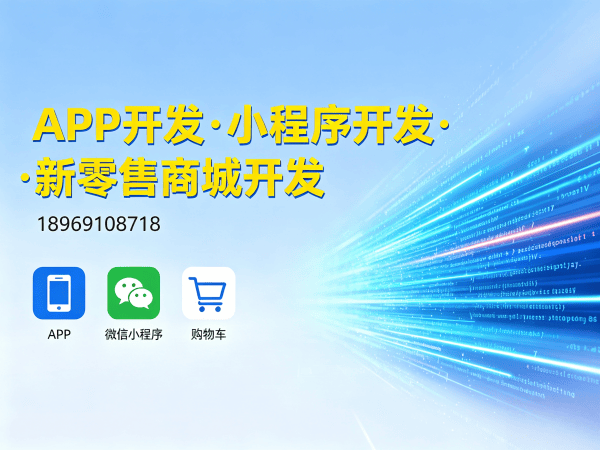 深圳三三复制系统源码开发全流程开发，助力企业数字化转型