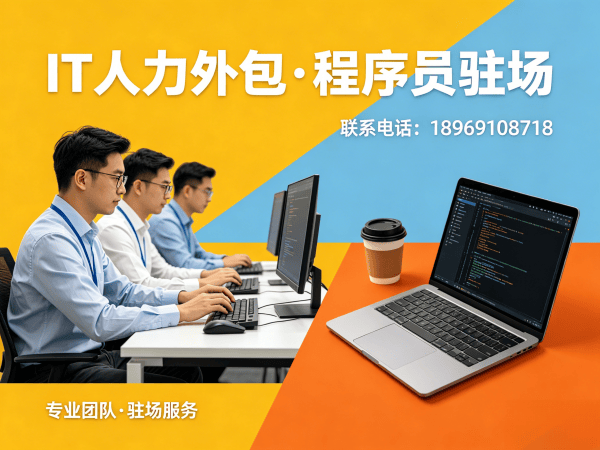 无锡企业如何选择靠谱IT人力外包公司？程序员驻场开发解决方案