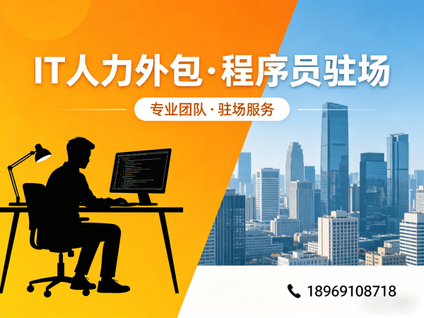 武汉IT人力外包解决方案：破解企业招聘难题，程序员驻场开发如何高效赋能企业发展