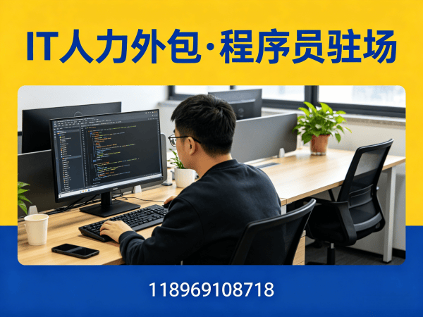 合肥节省成本IT人力外包解决方案：如何通过专业外包服务解决企业技术人才难题